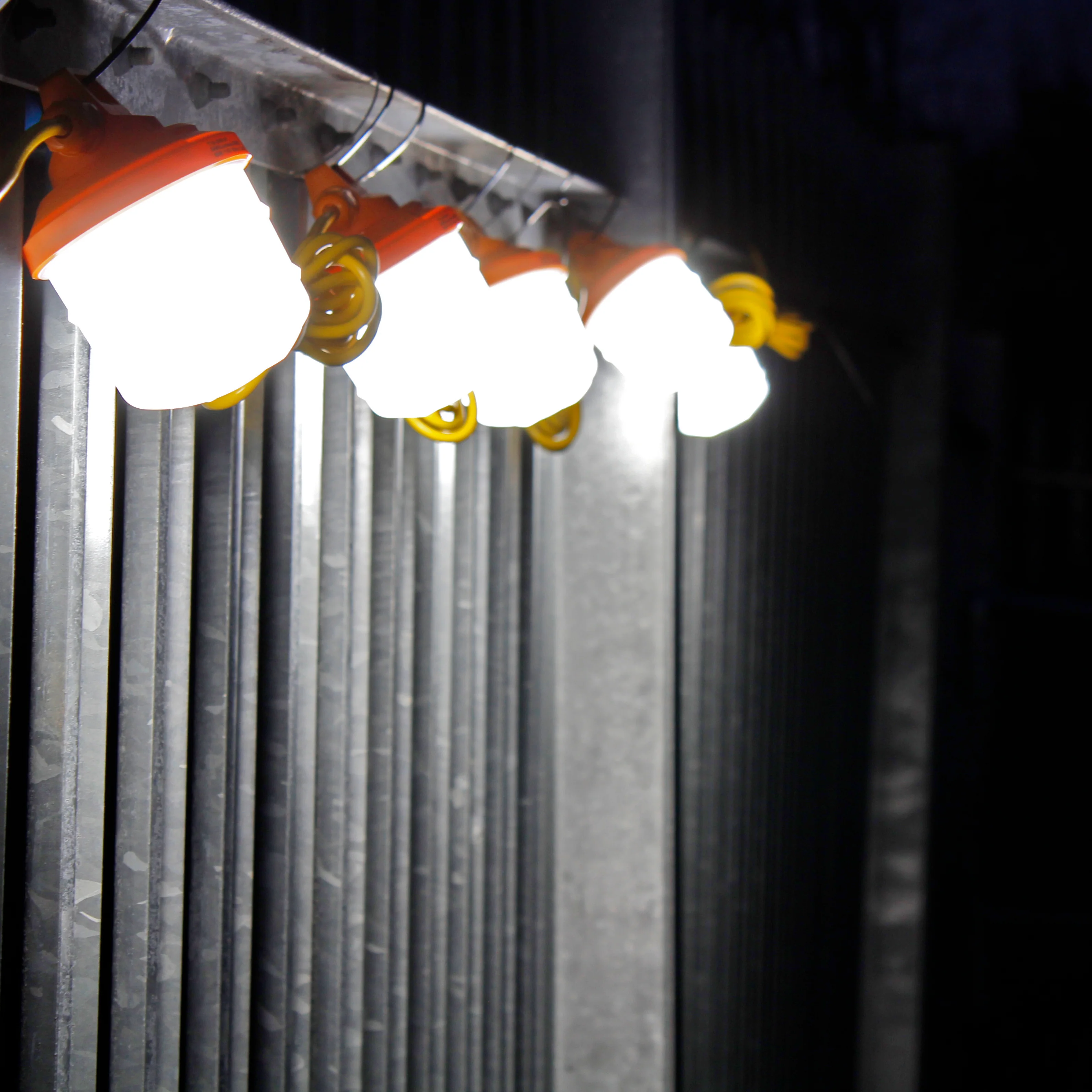 T19 Festoon Lighting | 110v String LED Lights - Image 3